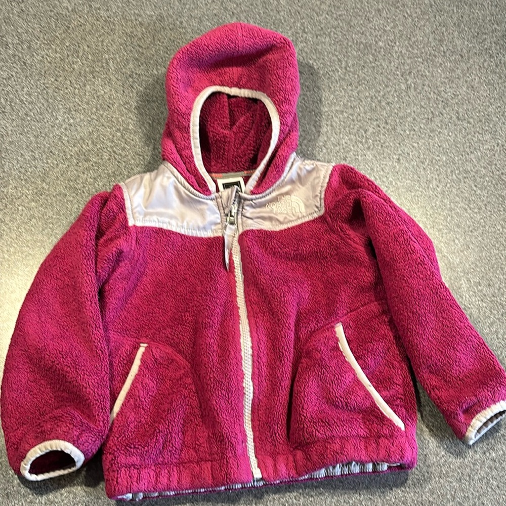 The north face jacket